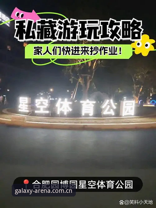 星空综合体育平台安全使用实用指南：深度评估与必备知识